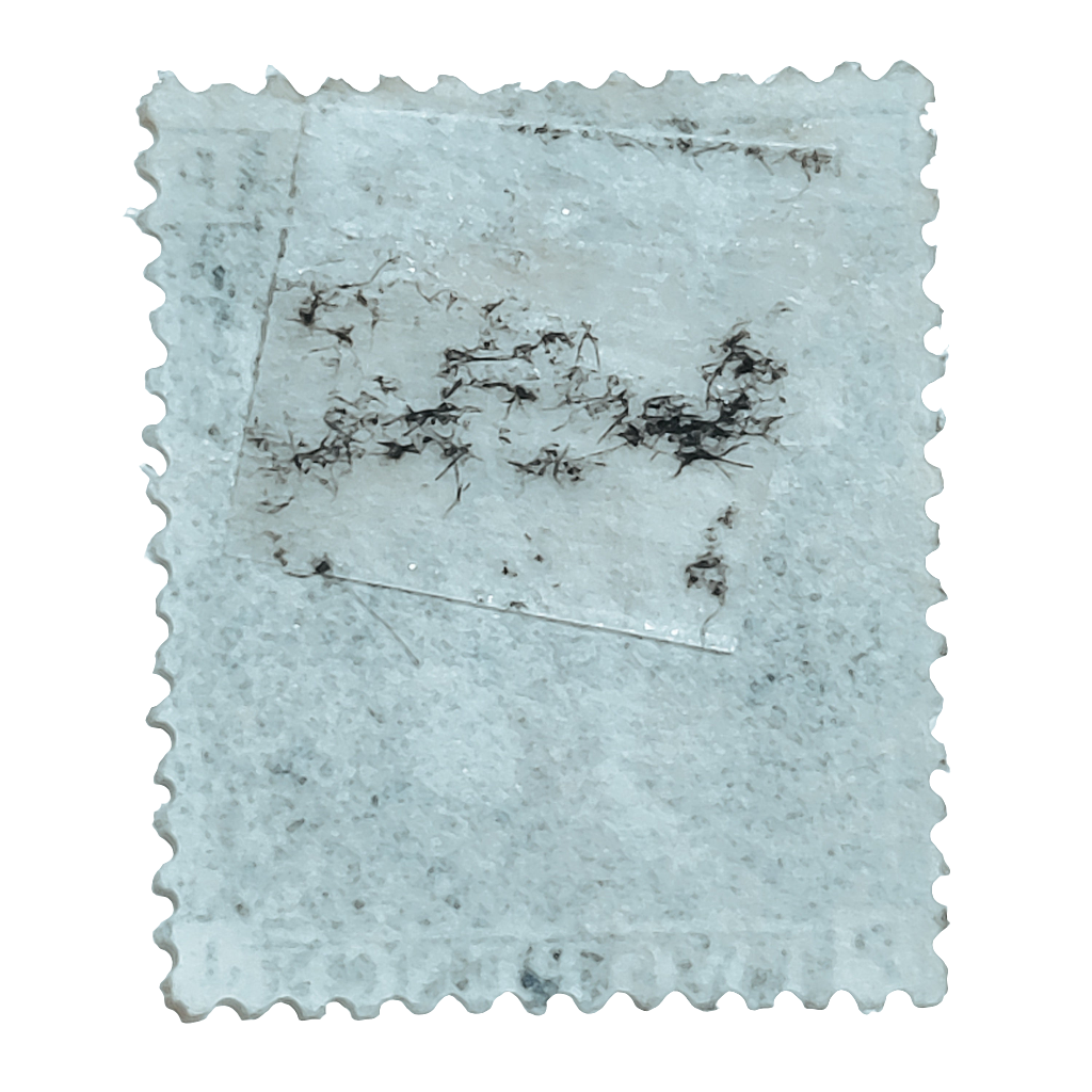 Two pence blue Victoria plate 9