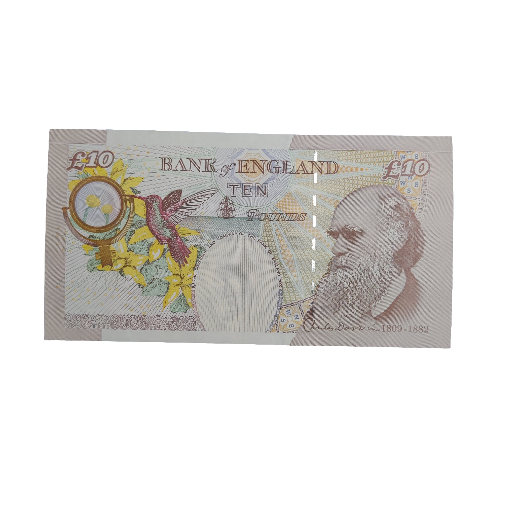 Bank Of England Series E Ten Pounds Banknote Victoria Cleveland