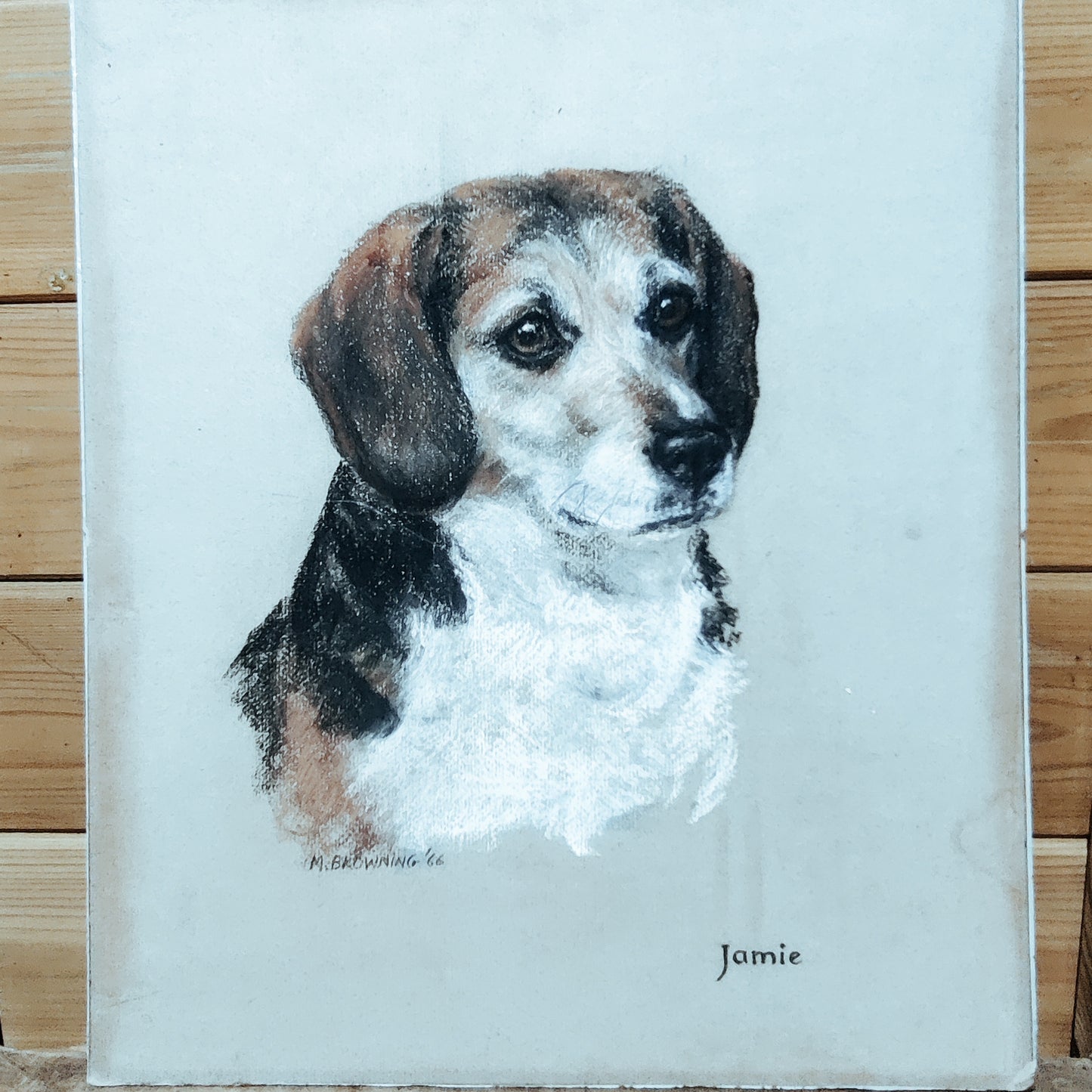 Picture of a dog (Jamie) by M Browning original.