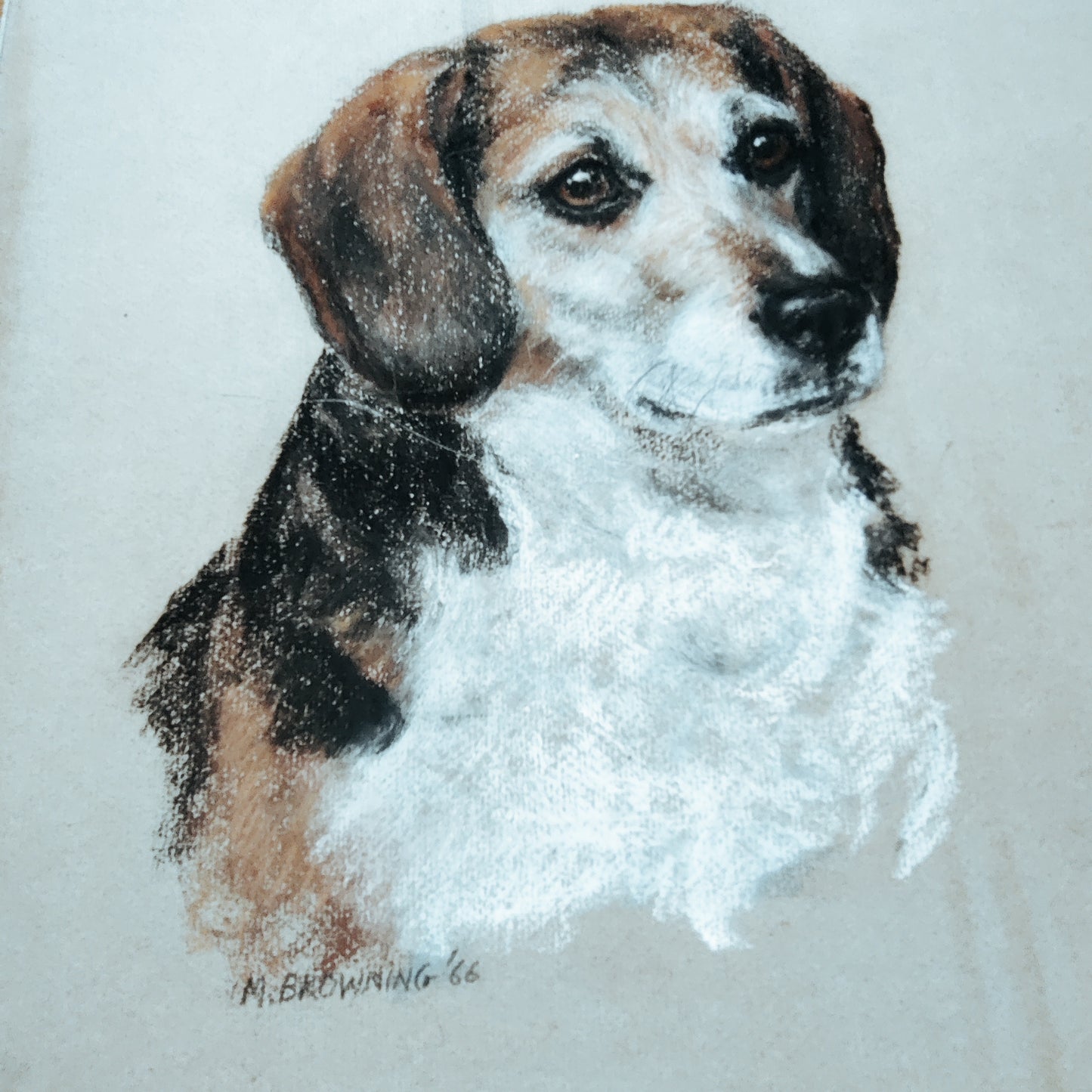 Picture of a dog (Jamie) by M Browning original.