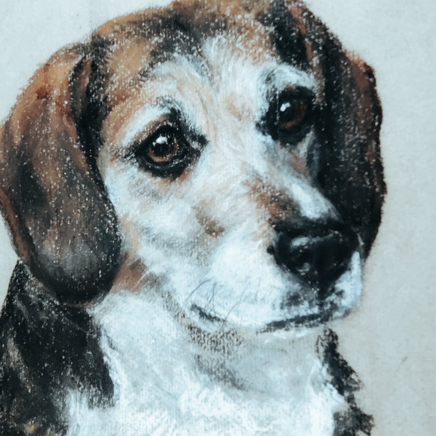 Picture of a dog (Jamie) by M Browning original.